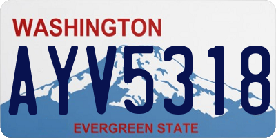 WA license plate AYV5318