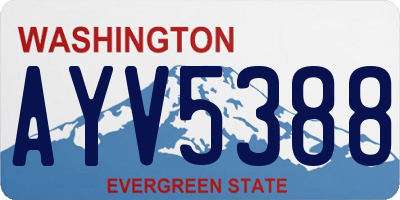 WA license plate AYV5388