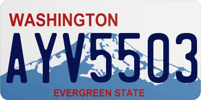 WA license plate AYV5503
