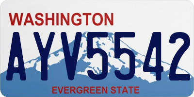 WA license plate AYV5542