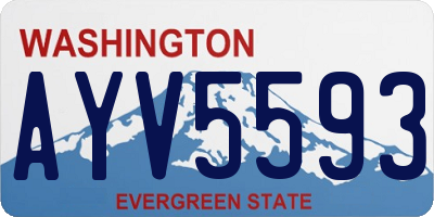 WA license plate AYV5593
