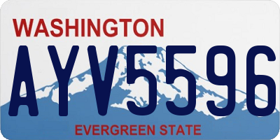 WA license plate AYV5596