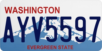 WA license plate AYV5597