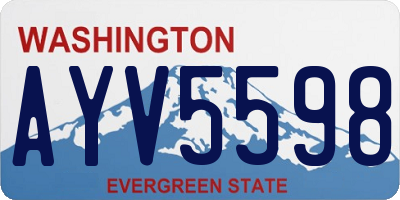 WA license plate AYV5598