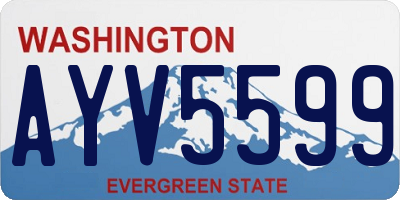 WA license plate AYV5599