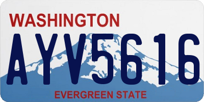 WA license plate AYV5616