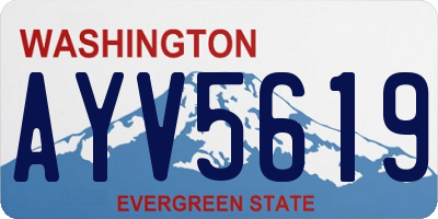 WA license plate AYV5619