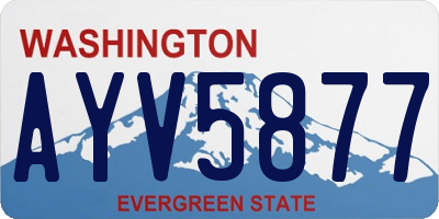WA license plate AYV5877