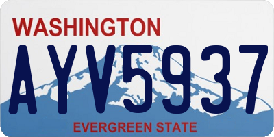 WA license plate AYV5937