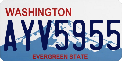 WA license plate AYV5955