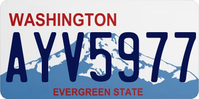 WA license plate AYV5977