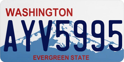 WA license plate AYV5995