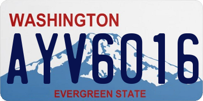 WA license plate AYV6016