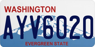 WA license plate AYV6020