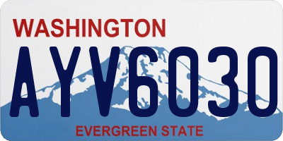 WA license plate AYV6030