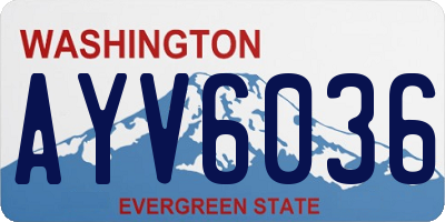 WA license plate AYV6036