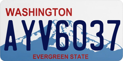 WA license plate AYV6037