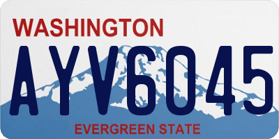 WA license plate AYV6045