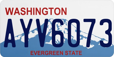 WA license plate AYV6073