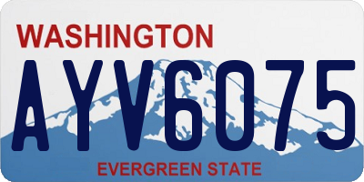 WA license plate AYV6075