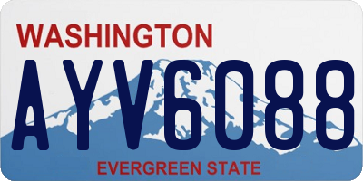 WA license plate AYV6088