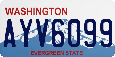 WA license plate AYV6099