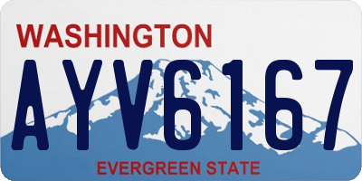 WA license plate AYV6167
