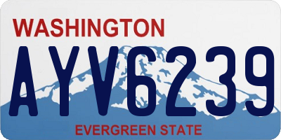 WA license plate AYV6239