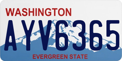 WA license plate AYV6365