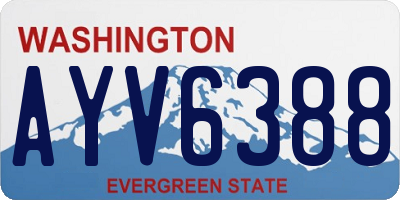WA license plate AYV6388