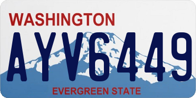 WA license plate AYV6449