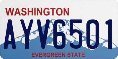 WA license plate AYV6501