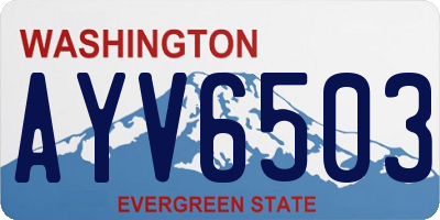 WA license plate AYV6503
