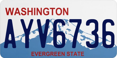 WA license plate AYV6736