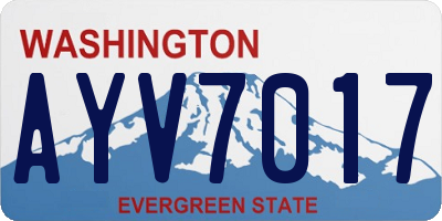 WA license plate AYV7017