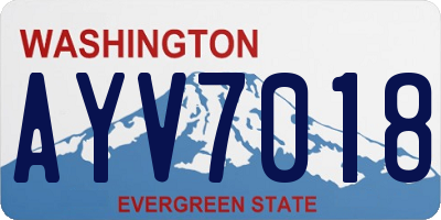 WA license plate AYV7018