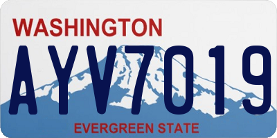 WA license plate AYV7019