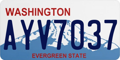 WA license plate AYV7037