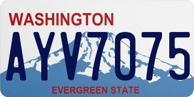 WA license plate AYV7075