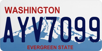 WA license plate AYV7099