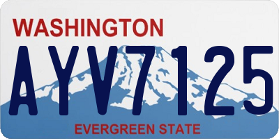 WA license plate AYV7125