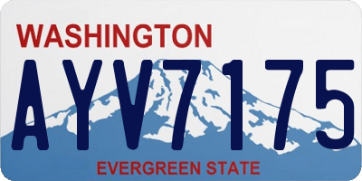 WA license plate AYV7175