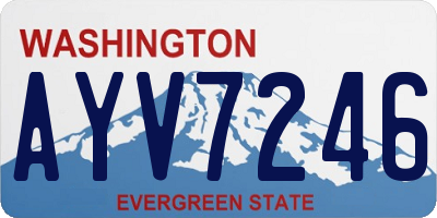 WA license plate AYV7246