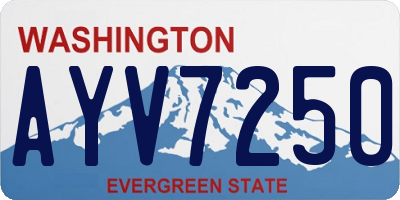 WA license plate AYV7250