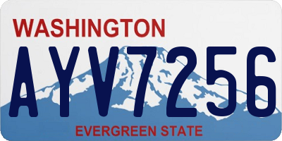 WA license plate AYV7256