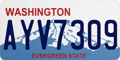 WA license plate AYV7309