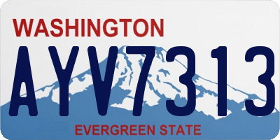 WA license plate AYV7313