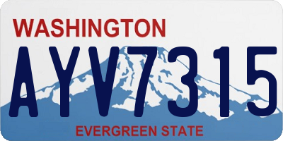 WA license plate AYV7315