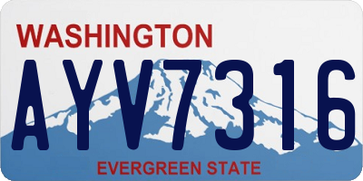 WA license plate AYV7316