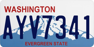 WA license plate AYV7341
